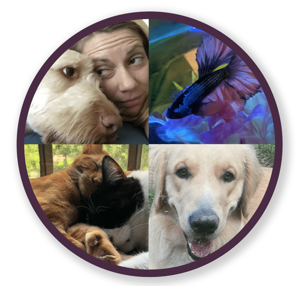 a Kalli Collective LLC circular dog logo for '30 days of Thanks'